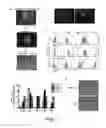 Fig. 02 - Triple-fusion constructs and methods of monitoring human embryonic stem cells