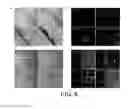 Fig. 07 - Triple-fusion constructs and methods of monitoring human embryonic stem cells