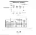 Fig. 102 - TRANSGENIC ANIMALS EXPRESSING HUMAN IGE-M1'