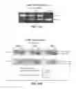 Fig. 80 - TRANSGENIC ANIMALS EXPRESSING HUMAN IGE-M1'