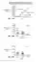 Fig. 84 - TRANSGENIC ANIMALS EXPRESSING HUMAN IGE-M1'