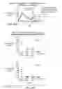 Fig. 86 - TRANSGENIC ANIMALS EXPRESSING HUMAN IGE-M1'
