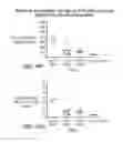 Fig. 89 - TRANSGENIC ANIMALS EXPRESSING HUMAN IGE-M1'