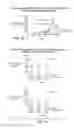 Fig. 90 - TRANSGENIC ANIMALS EXPRESSING HUMAN IGE-M1'
