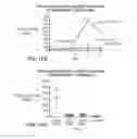 Fig. 92 - TRANSGENIC ANIMALS EXPRESSING HUMAN IGE-M1'
