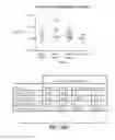 Fig. 98 - TRANSGENIC ANIMALS EXPRESSING HUMAN IGE-M1'