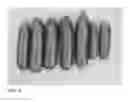 Fig. 06 - hybrids