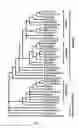 Fig. 02 - Polynucleotides and polypeptides in plants