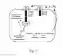 Fig. 02 - Engineering single-gene-controlled staygreen potential into plants