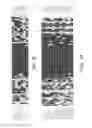 Fig. 05 - Gene silencing