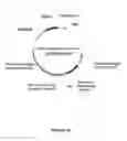 Fig. 26 - Plants Having Enhanced Yield-Related Traits and a Method for Making the Same