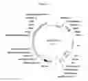 Fig. 07 - Optimized expression of glyphosate resistance encoding nucleic acid molecules in plant cells