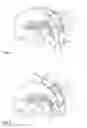 Fig. 03 - Culinary finger guard and associated method