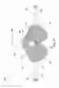 Fig. 02 - MASK OR OTHER DEVICE HAVING ADJUSTABLE SCENT CARRIER