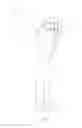 Fig. 05 - Garment with adjustable waistband