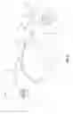 Fig. 15 - Portable disposable toilet