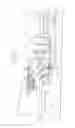 Fig. 06 - Patient support apparatus with powered wheel