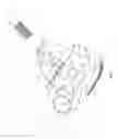 Fig. 09 - Combination sticky roller and brush
