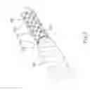 Fig. 06 - Method for manufacturing lace tip and lace tip