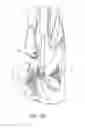 Fig. 10 - Articulated arm