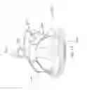 Fig. 15 - SHOE HAVING A PLURALITY OF TOE COMPARTMENTS