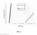 Fig. 03 - CRUSTACEAN TRAP WITH DEGRADABLE CULL RING PANEL