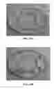 Fig. 11 - CRUSTACEAN TRAP WITH DEGRADABLE CULL RING PANEL