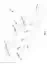 Fig. 03 - Quick deploy fire shelter