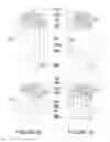 Fig. 17 - Structural Insulating Core Wall With A Reverse Lip Channel