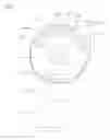 Fig. 05 - Dust collector comprising a handle unit and intended for a vacuum cleaner