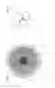 Fig. 05 - Method and device for producing a thread made from a plurality of individual filaments and monofilament thread produced through the method
