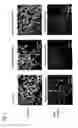 Fig. 02 - PROCESS FOR PRODUCING GRANULES AND PROCESS FOR PRODUCING GLASS PRODUCT
