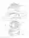 Fig. 08 - AGITATOR ASSEMBLY FOR CLOTHES WASHING MACHINE