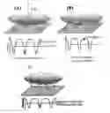 Fig. 01 - NANOPATTERNED SURFACES AND RELATED METHODS FOR SELECTIVE ADHESION, SENSING AND SEPARATION