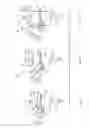 Fig. 02 - SEQUENTIAL GEARBOX