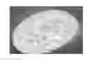 Fig. 01 - Polymer composite for extracting Cesium from nuclear waste and/or other inorganic wastes/solutions