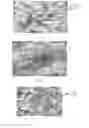 Fig. 04 - Polymer composite for extracting Cesium from nuclear waste and/or other inorganic wastes/solutions