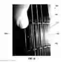 Fig. 09 - Stringed instrument
