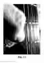 Fig. 12 - Stringed instrument