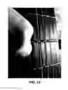 Fig. 14 - Stringed instrument
