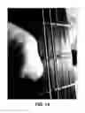 Fig. 15 - Stringed instrument