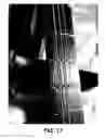 Fig. 18 - Stringed instrument