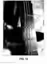 Fig. 20 - Stringed instrument