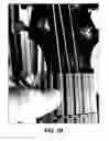Fig. 25 - Stringed instrument