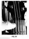 Fig. 26 - Stringed instrument