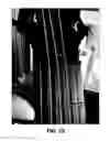 Fig. 30 - Stringed instrument