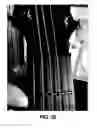 Fig. 31 - Stringed instrument