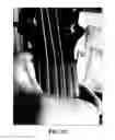 Fig. 32 - Stringed instrument
