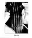 Fig. 33 - Stringed instrument