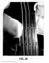 Fig. 37 - Stringed instrument